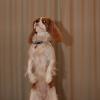 IMG_9346